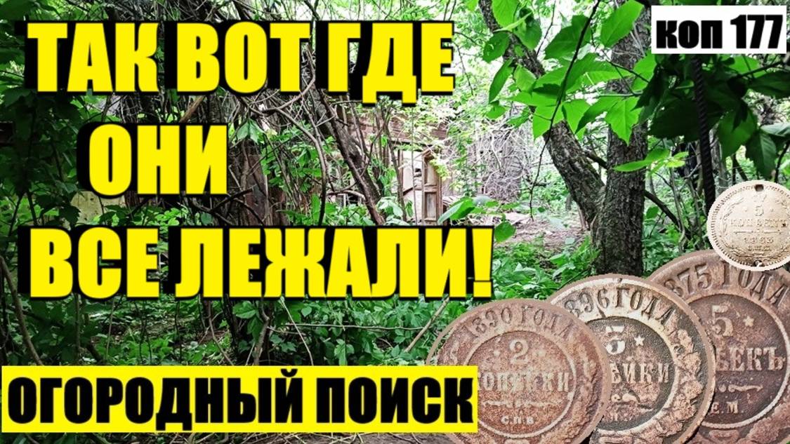 или ЭТО ПРЯМ ПРАЗДНИК КАКОЙ-ТО. Коп 177