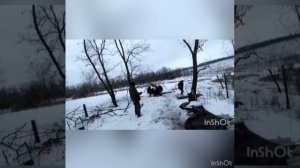 прикольная клип