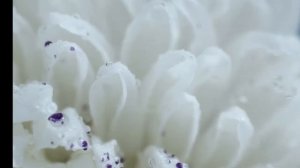 Oxijet Effective and Gentle Demo Life