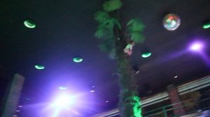 ГРИН БАР ДИВНОМОРСКОЕ ИЮЛЬ 2025