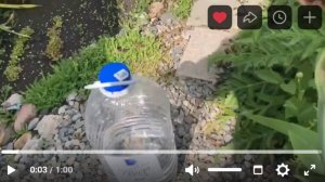 Видеосюжет: "Здравствуй лето... с Серебряной водой"! Сюжет клиента нашей компании Татьяны А.
