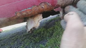 Сравним железо китайца и корейца.