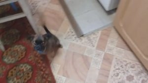 Жизнь в деревне. Виталий и Зоя - Заготовки на зиму: Готовлю Аджику