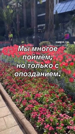 Слова со смыслом