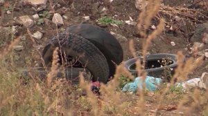 Около 2,6 млрд рублей направят на управление отходами в Нижегородской области