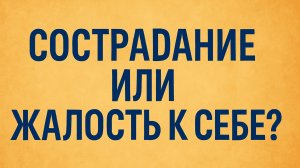 Сострадание или жалость к себе? Главное отличие, которое меняет всё
