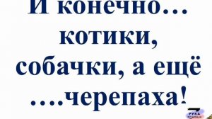 ‼️🇷🇺 Отчёт о поездке 17 июня 2025г, Запорожье, Херсон😎🤙 Спасибо всем причастным ❤️🇷🇺🇷🇺🇷🇺