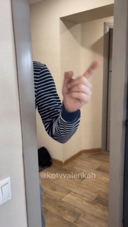 Про несправедливость #котики #котаваленках