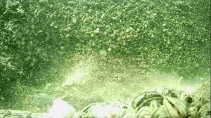1000045758.mp4Волга гл.5м.03.07.2025г.