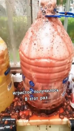 Игристое вино😲
