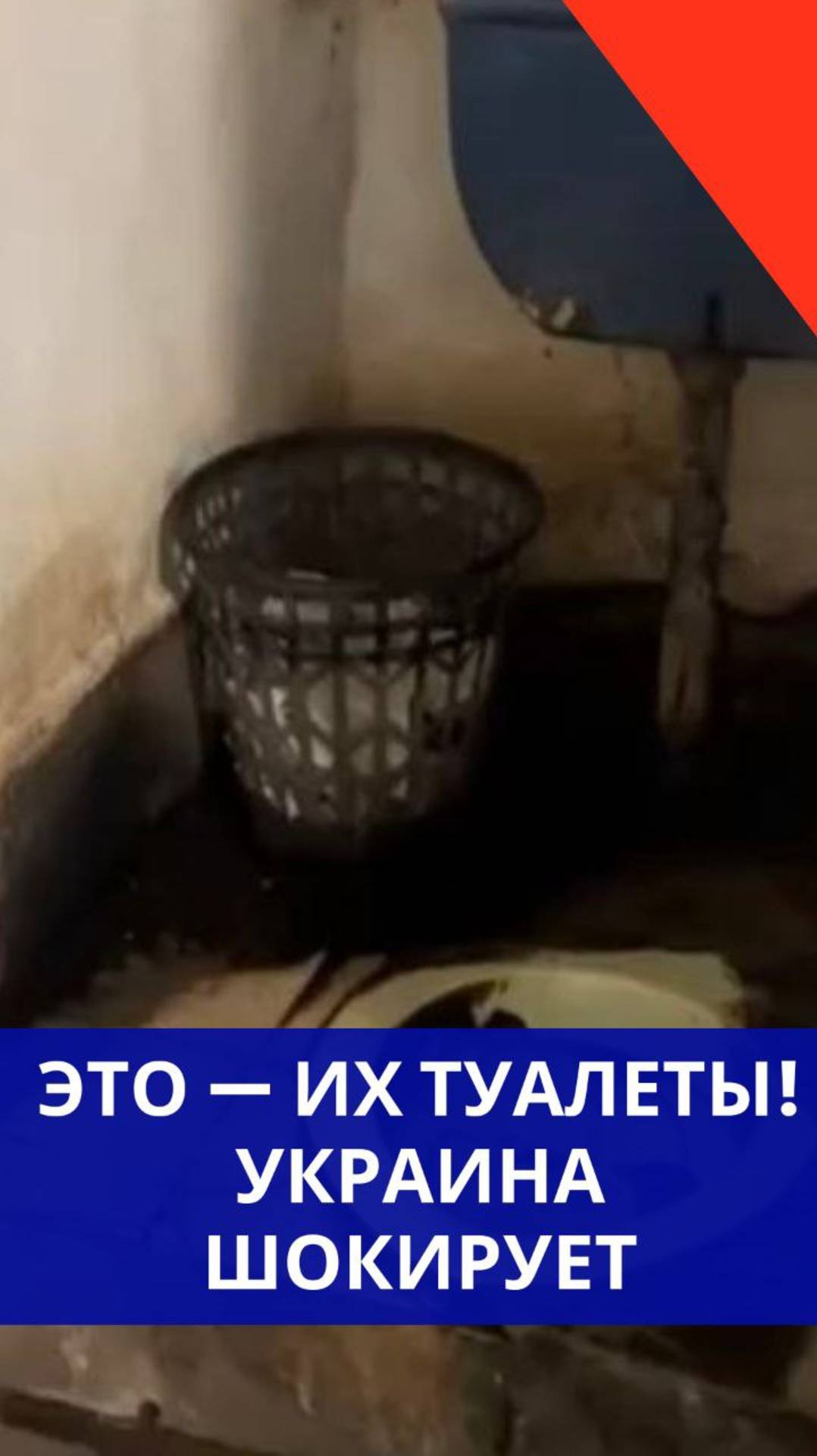 Ужасающее зрелище! Так выглядят туалеты на Украине. И там говорили, что русские воруют их унитазы?!