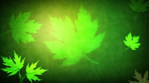 Распаковка лабубу 4 штуки!💚