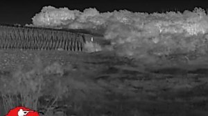 Тепловизор Lesnik 2 650L & Surok m25 Alfa