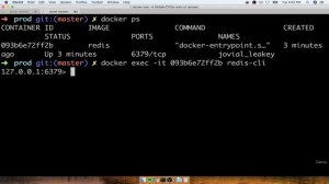 10. Executing Commands in Running Containers