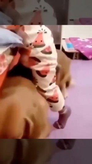 VID_20250703_184432_912.mp4