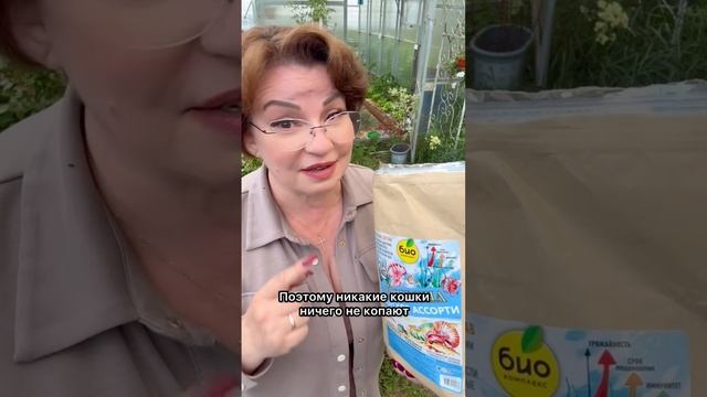 Откормили томаты Удобряшей