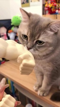 Весомый повод купить 3D-принтер: Теперь из своего кота можно сделать настоящего качка, дав ему мощь