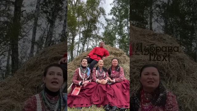 Народный ансамбль Дубрава казачья песня Золотая трубонька