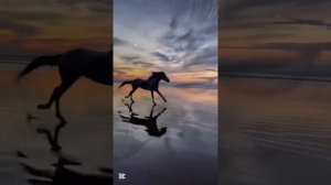 Жизнь подруга