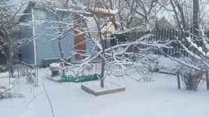 это вам показывает мой папа.