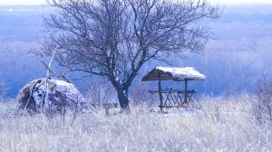 Зимнее настроение