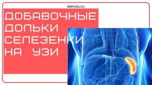 Добавочная долька селезенки
