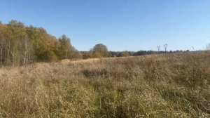 Рыблово 50:32:0030213:686