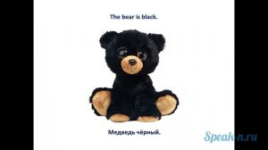 7_1_bear