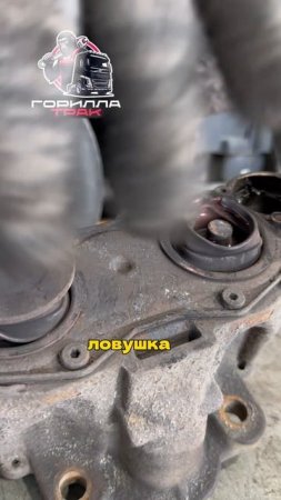 Суппорт