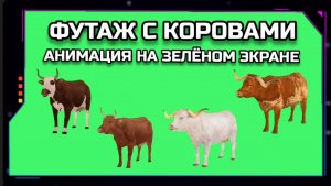 КОРОВЫ видео GREEN SCREEN футаж. ХРОМАКЕЙ АНИМАЦИЯ на зелёном экране.
