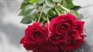 Новости Старого Оскола от 3 июля