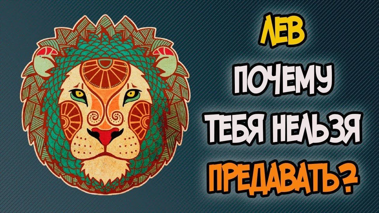Почему НЕЛЬЗЯ Предавать ЛЬВА
