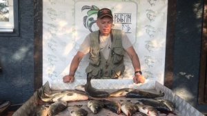 хороший улов карпа у Александра на большом водоёме