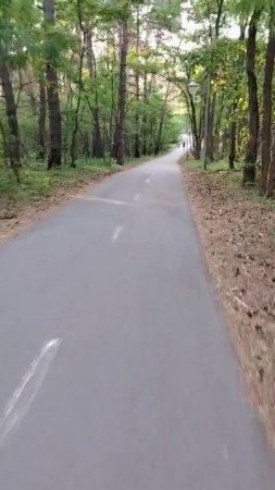 Кого только не встретишь в парке