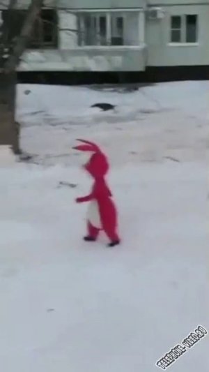 Закончились новогодние праздники