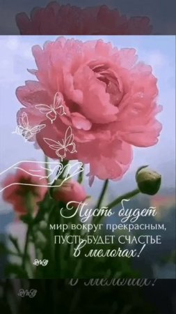 Доброе утро