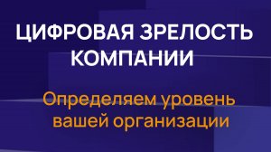 Как оценить уровень ТИМ-зрелости компании?