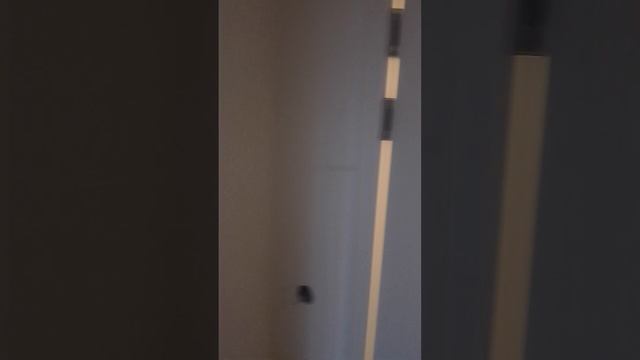 друзья доделывают ремонт в квартире