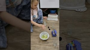 моё любимое видео про Хомяков