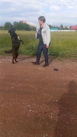 Суслик