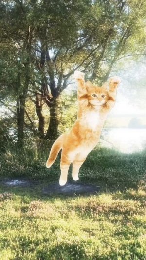 подпишись