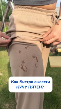 Выводитель пятен WB #93550775 Ozon #655295171