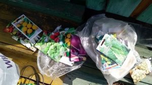 Первая поездка на дачу в этом сезоне!