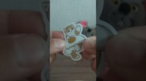 СУПЕР РАСПОКОВКА! ЗНАЧОК И СТИКЕР ВНУТРИ!