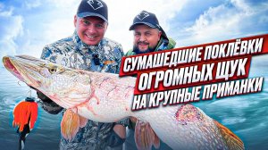 ШОК❗️ЗДОРОВЕННАЯ ЩУКА ЛОМАЕТ СПИННИНГ