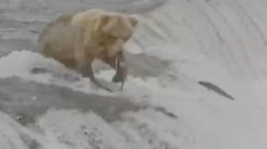 Слышно вогласы зрителей- переживают за мишку