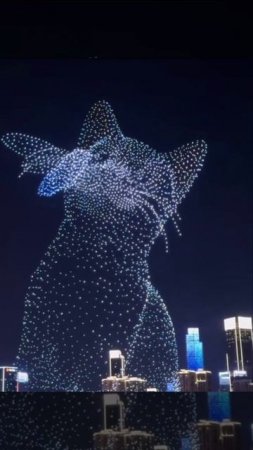 11 787 дронов в образе Кота, Китай