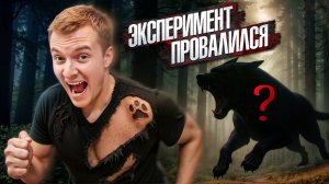 Как выводят породы собак? *САМАЯ РЕДКАЯ*