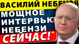 Зеленский загнан в угол! Правда о переговорах, которую никто не расскажет! |Василий Небензя
