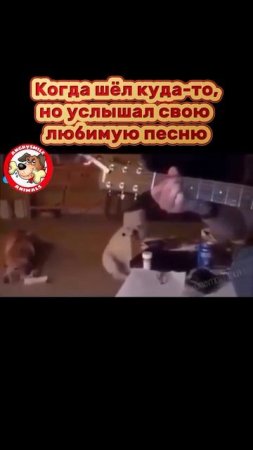 любимая музыка